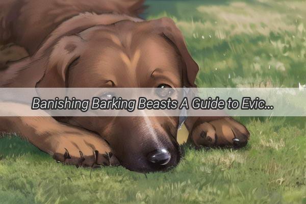 Banishing Barking Beasts A Guide to Evicting Pups in Genshin Impact with Grace and Style